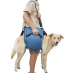 Dog lift support