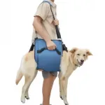 Dog lift support
