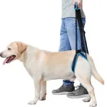 Dog lift support for hind legs