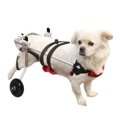 Dog Mobility Wheelchair for Rear Leg Paralysis 01