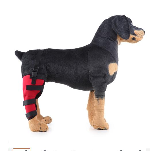 Dog Single Rear Leg Brace