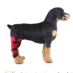 Dog Single Rear Leg Brace