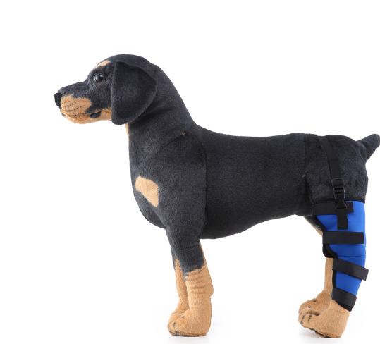 Dog Single Rear Leg Brace