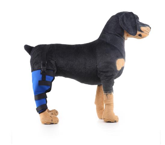 Dog Single Rear Leg Brace