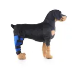 Dog Single Rear Leg Brace