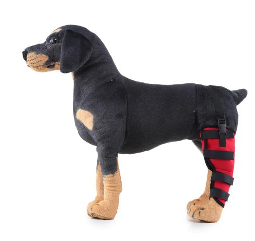 Dog Single Rear Leg Brace