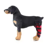 Dog Single Rear Leg Brace