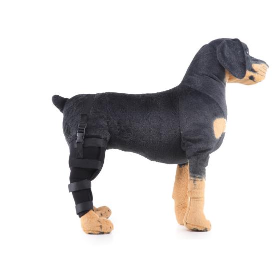 Dog Single Rear Leg Brace