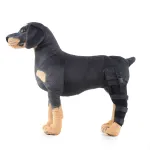 Dog Single Rear Leg Brace