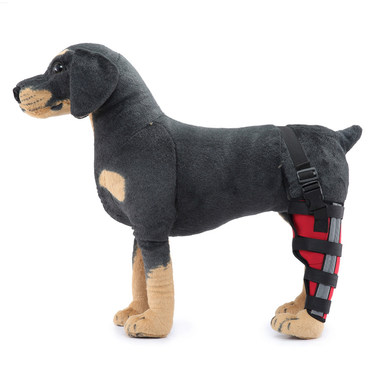 Dog Single Rear Leg Brace