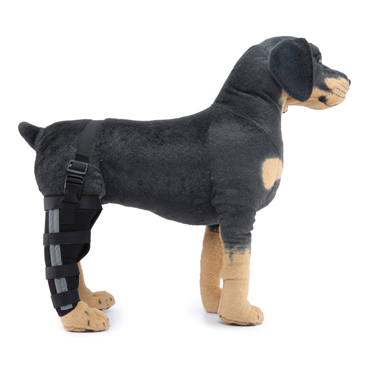 Dog Single Rear Leg Brace