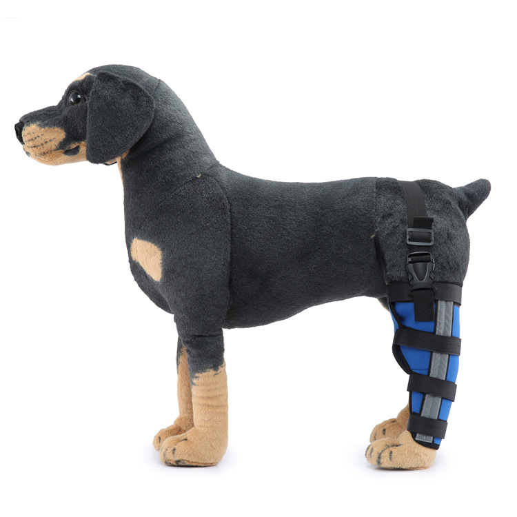 Dog Single Rear Leg Brace