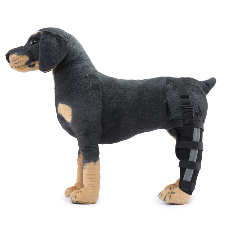 Dog Single Rear Leg Brace