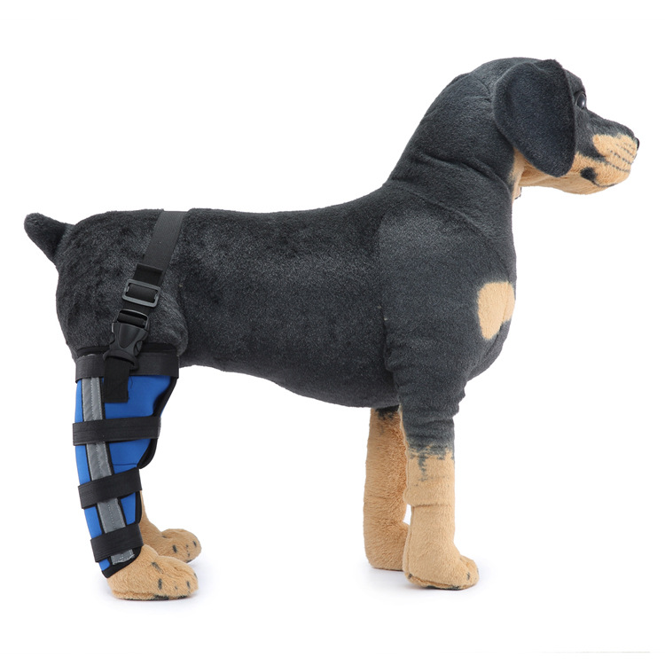 Dog Single Rear Leg Brace
