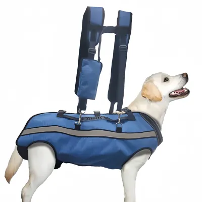 Large Dog Lift Harness with Dual-Shoulder Straps 01