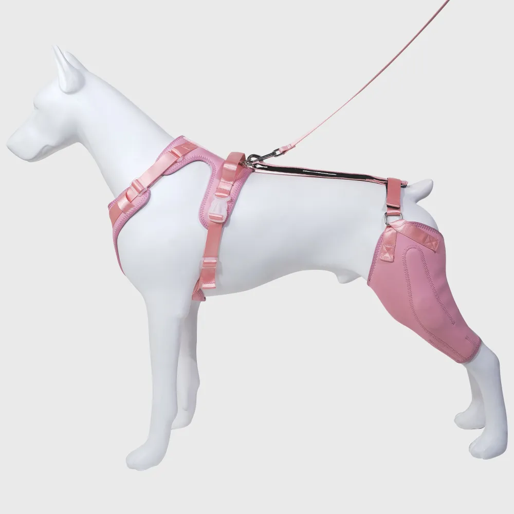 Dog Knee Brace with Hinge