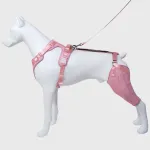 Dog Knee Brace with Hinge