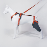 Dog Knee Brace with Hinge