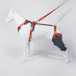 Dog Knee Brace with Hinge