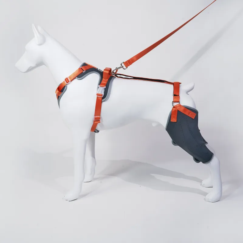 Dog Knee Brace with Hinge