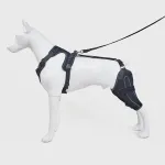 Dog Knee Brace with Hinge