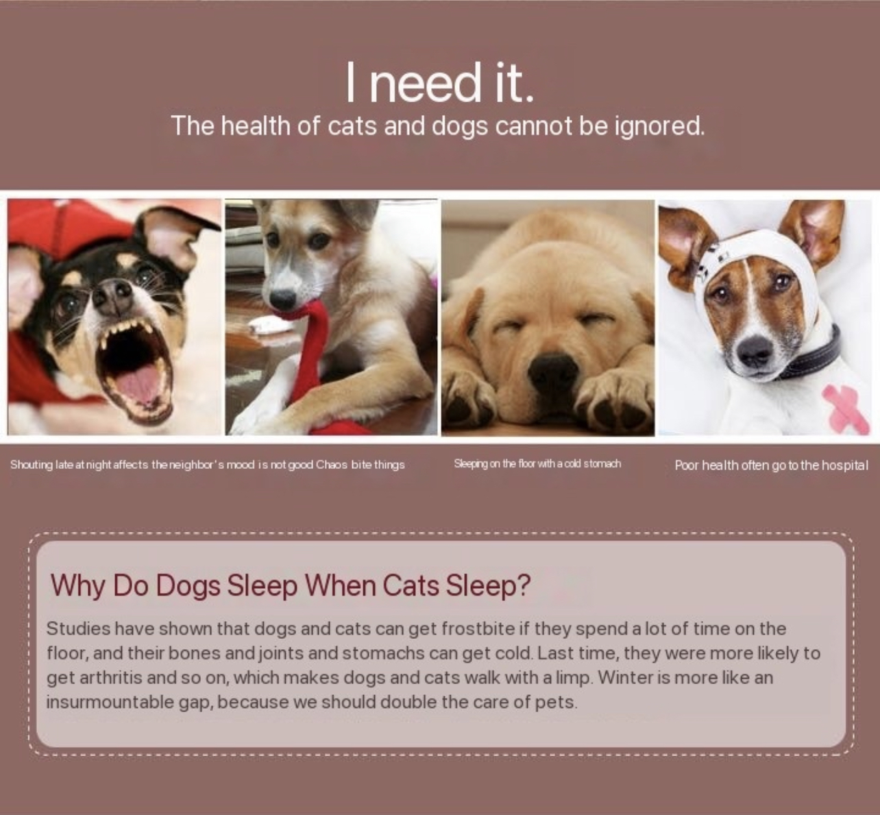 Deluxe Human-Sized Dog Bed: Share the Comfort