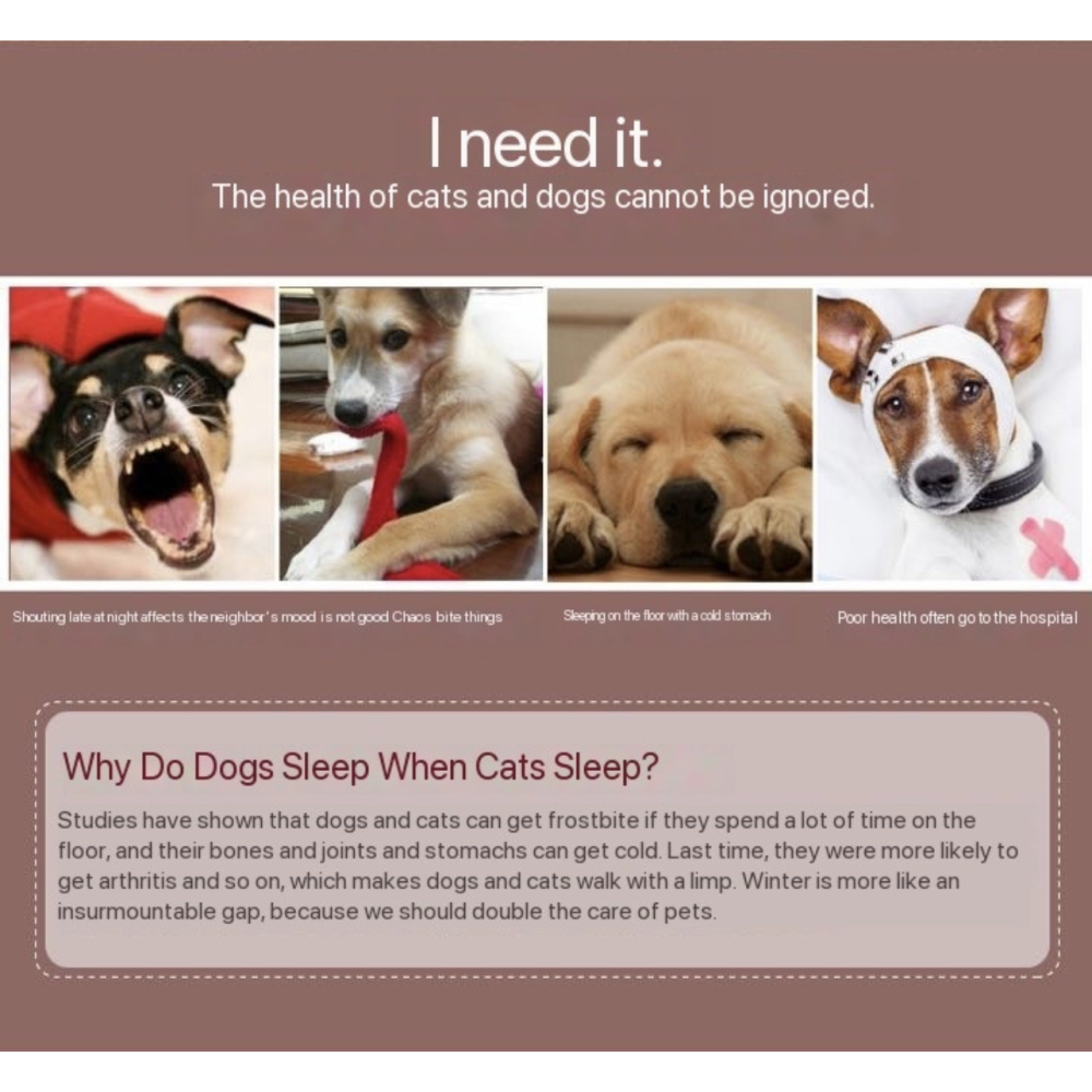 Deluxe Human-Sized Dog Bed: Share the Comfort