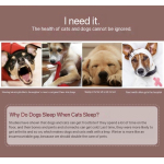 Deluxe Human-Sized Dog Bed: Share the Comfort