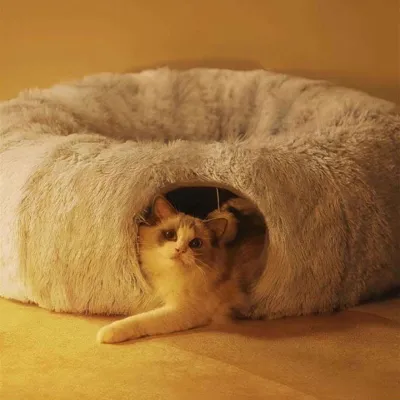 Cozy Cat Doughnut Tunnel Bed: Ultimate Feline Comfort 02