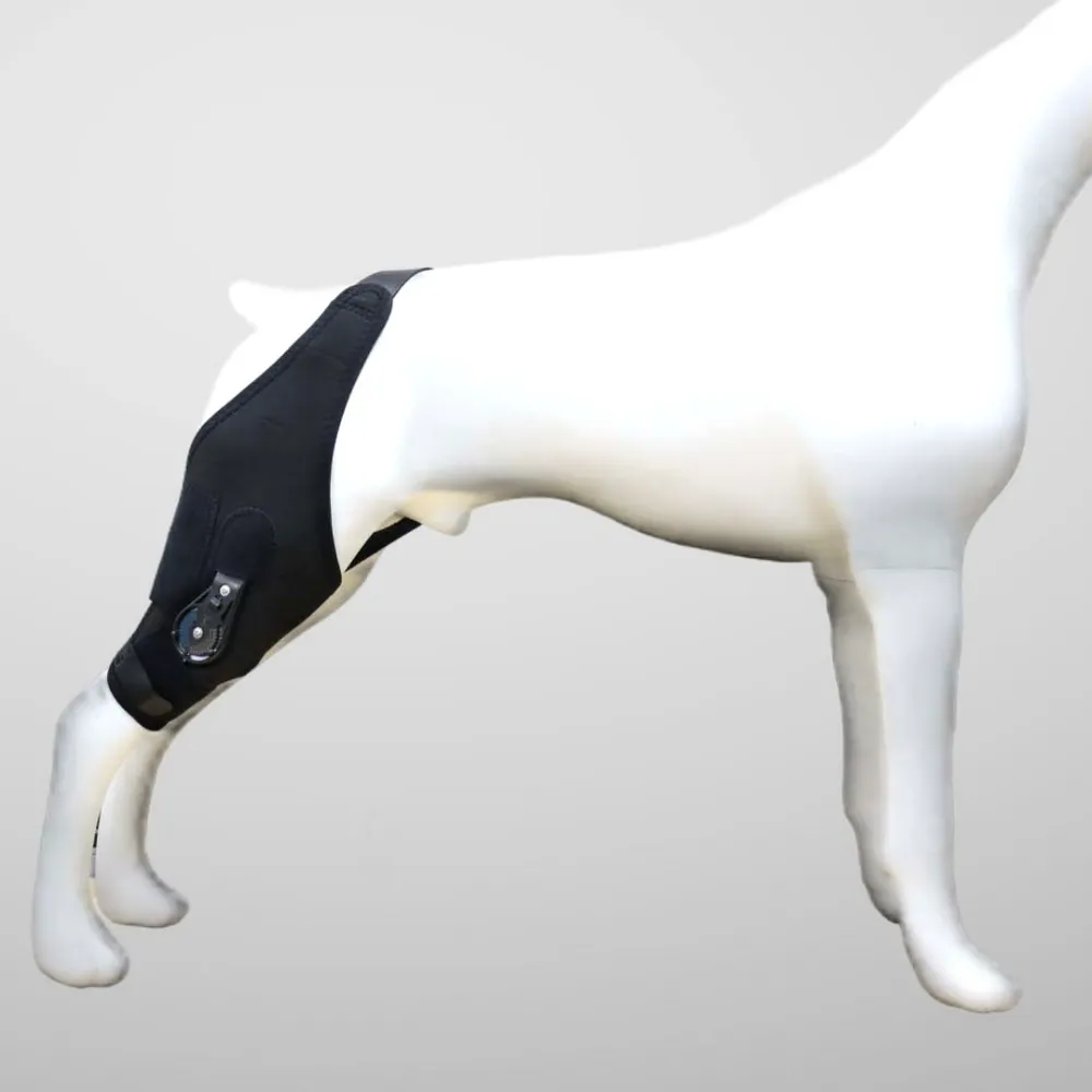 Adjustable Patellar Angle Knee Brace for Dogs