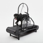Dog Treadmill