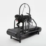 Dog Treadmill