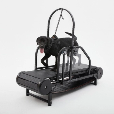 Dog Treadmill 01
