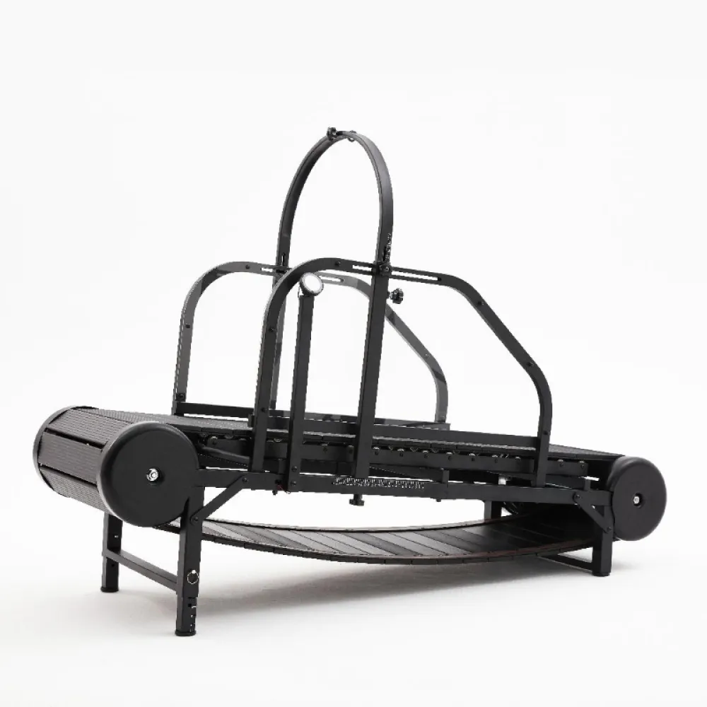 Dog Treadmill
