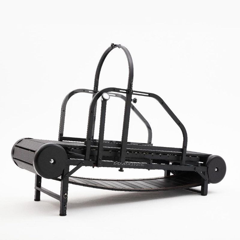 Dog Treadmill