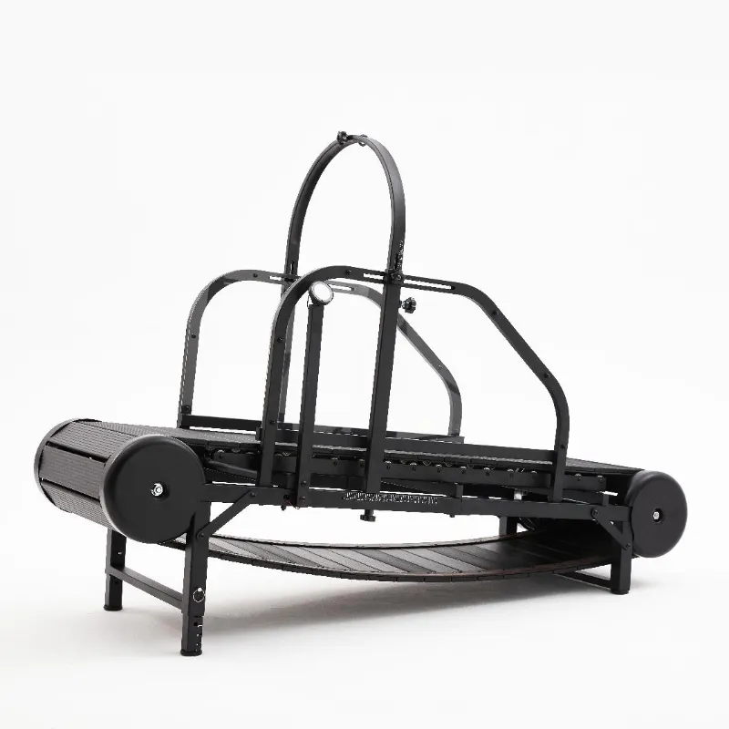 Dog Treadmill