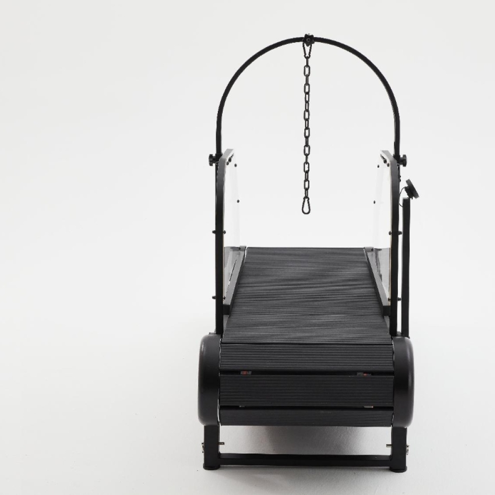 Dog Treadmill