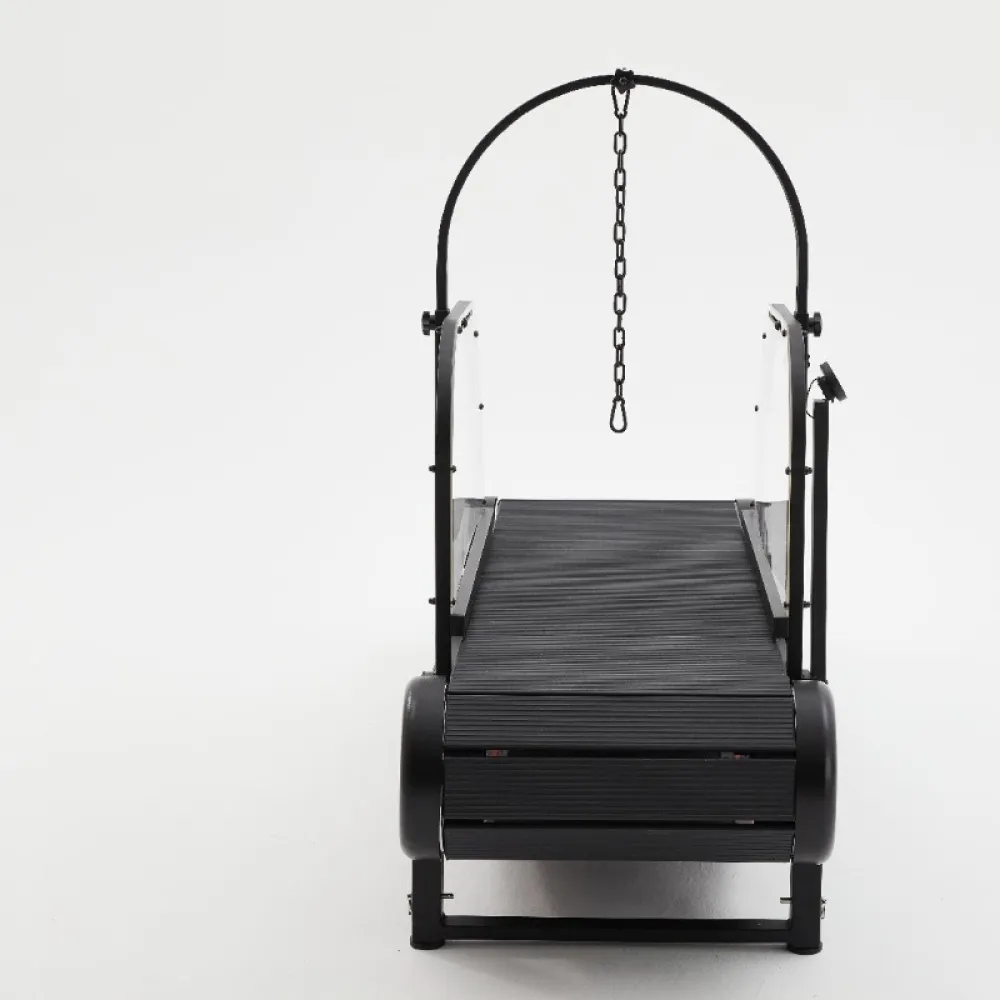 Dog Treadmill