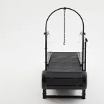 Dog Treadmill