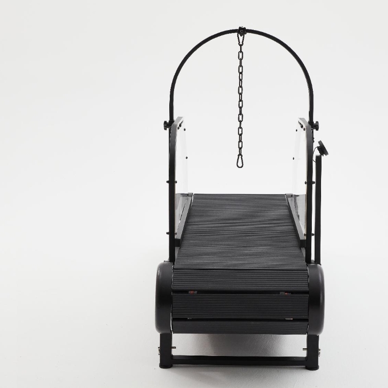 Dog Treadmill