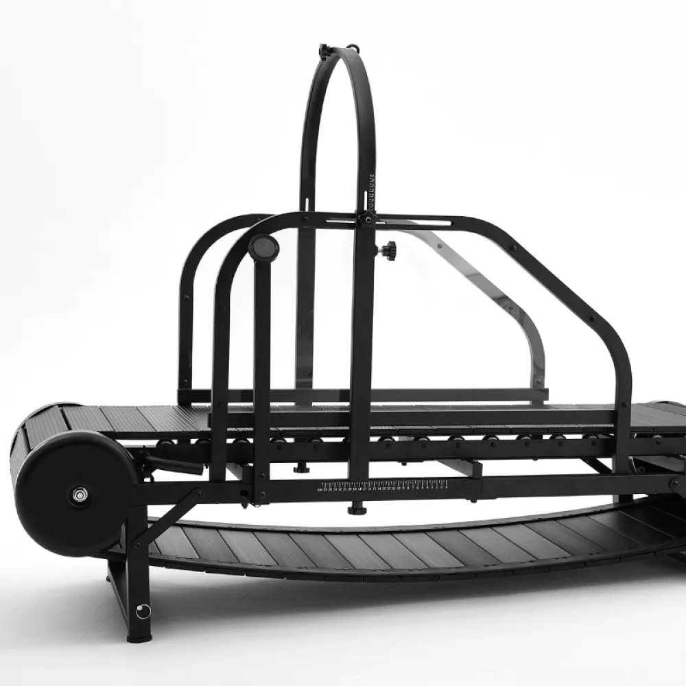 Dog Treadmill