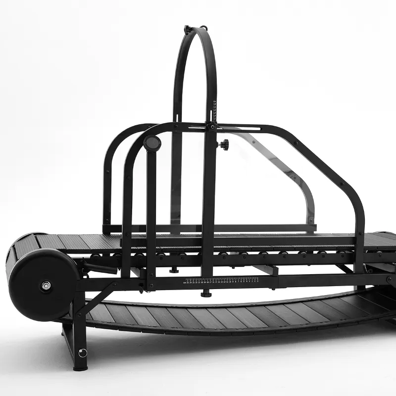 Dog Treadmill