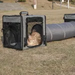 Double Cat Dog Travel Tunnel Bag