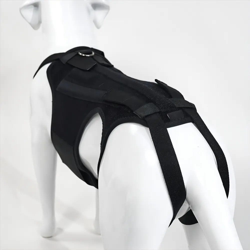 Dog Support Vest