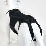 Dog Support Vest