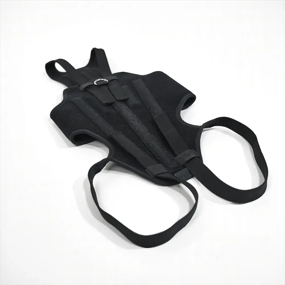 Dog Support Vest