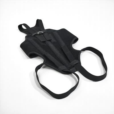 Dog Support Vest 02