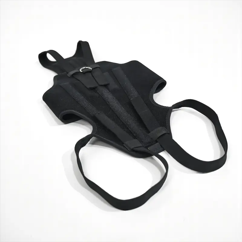 Dog Support Vest