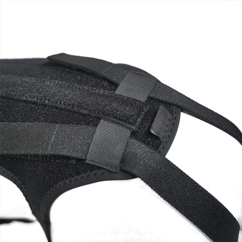 Dog Support Vest