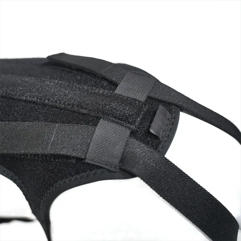 Dog Support Vest